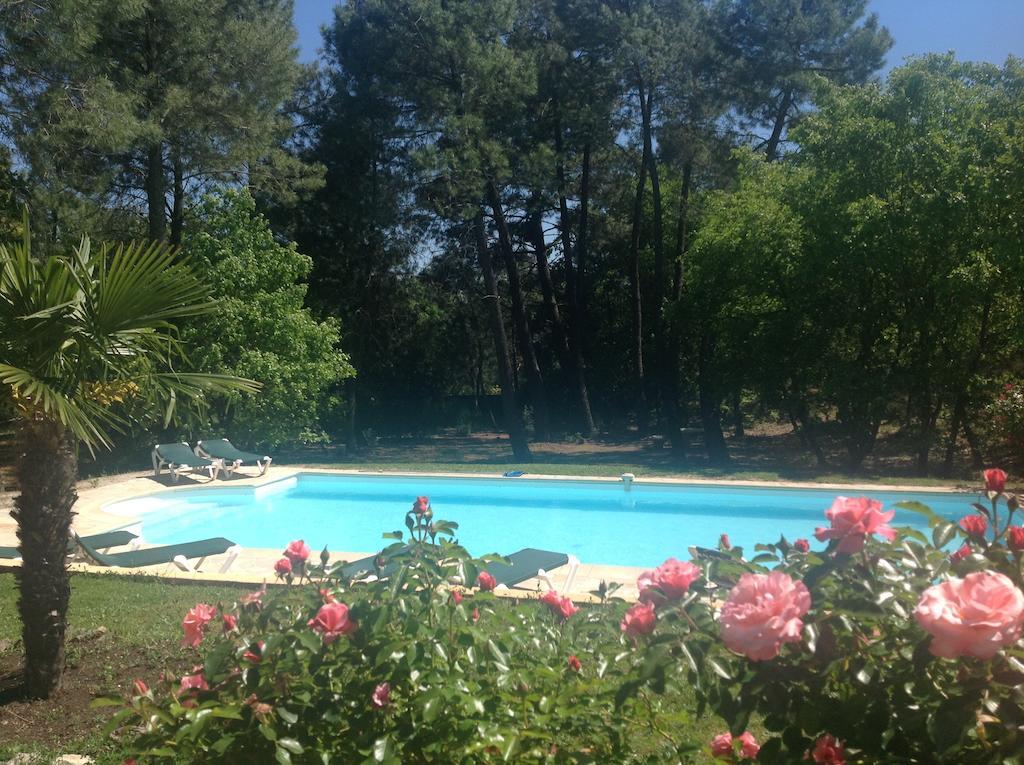 Le Clos Des Cigales Roussillon en Isere Værelse billede
